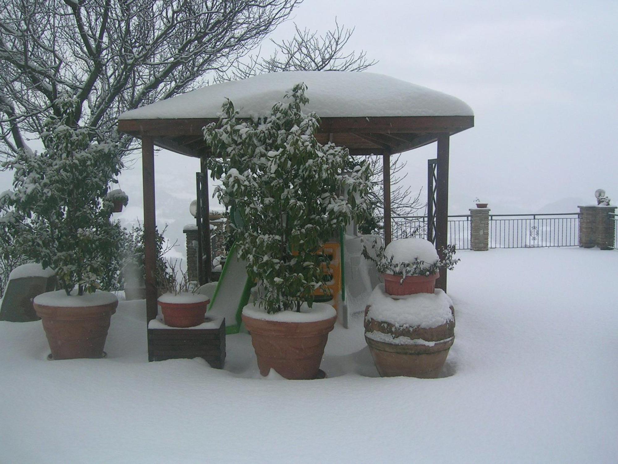 אסיסי B&B La Terrazza Del Subasio מראה חיצוני תמונה
